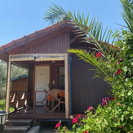 Guest house Plaj 3*