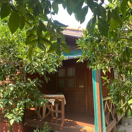 Pensionat Plaj Çıralı